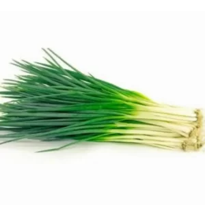 Daun Bawang Prei