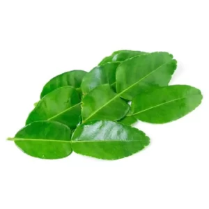 Daun Jeruk