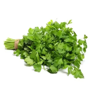 Daun Seledri
