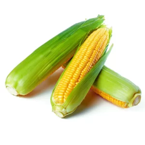 Jagung Manis Kulit
