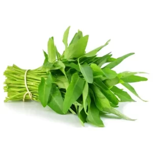 Kangkung