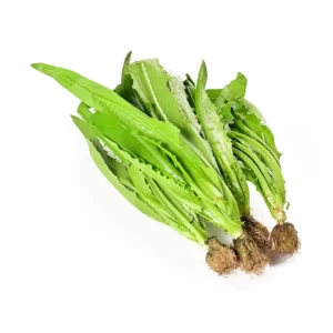 Siomak