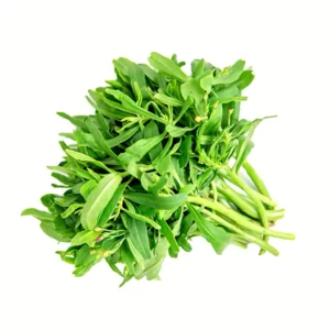 Daun Ginseng